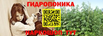 хмурый Аша