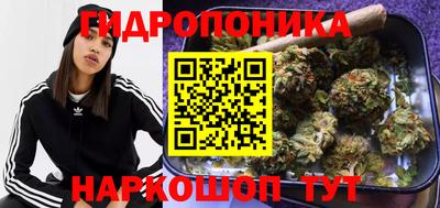 хмурый Аша