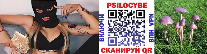 Галлюциногенные грибы мицелий  закладка  Темрюк 