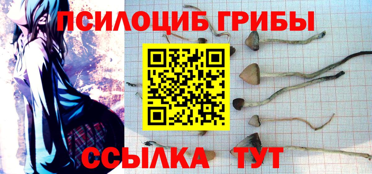 Галлюциногенные грибы прущие грибы  Вход с VPN  Темрюк 